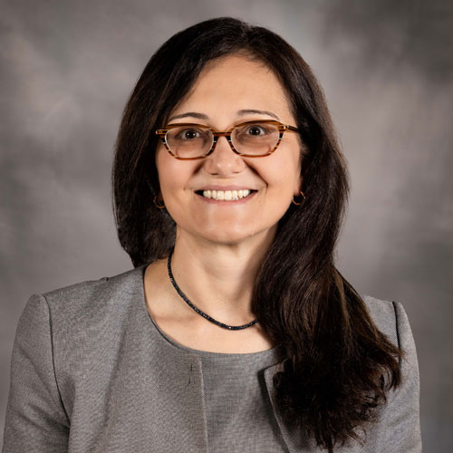 Ayşegül  Şahin
