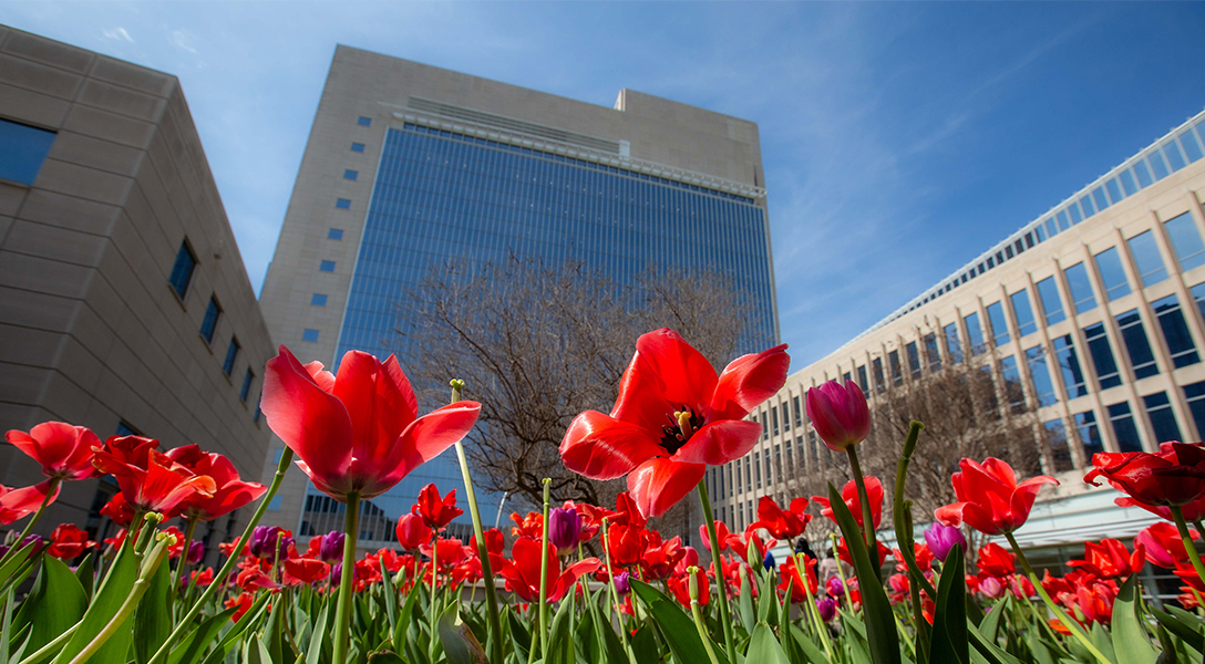 Fed 101: Reserve Banks and the roles of the Fed