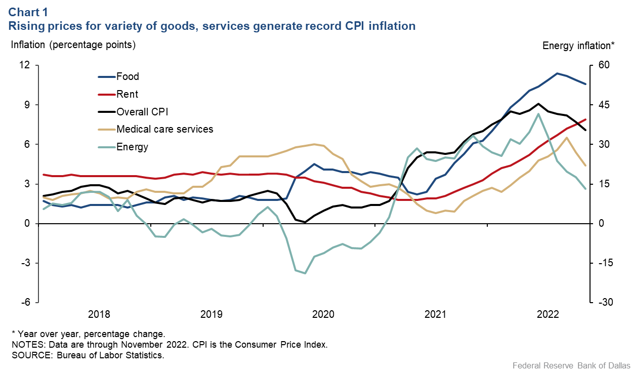 Chart 1: Rising prices for variety of goods, services paces record CPI increase