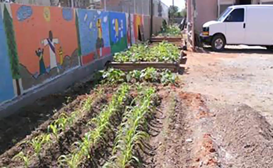 El Cenizo Agua Viva community garden